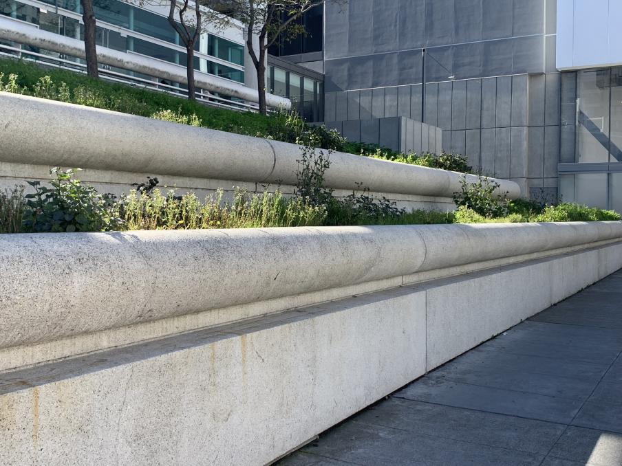 Sustainable Landscaping